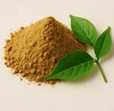 Glycotide™ Gymnema Sylvestre Leaf Extract